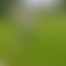 Image result for Blackstones Bowls Club