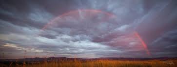 Attēlu rezultāti vaicājumam “Red Rainbows”