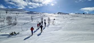 Image result for Tyneside Loipers