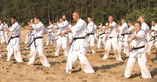 Image result for Masters of Martial Arts