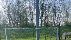 Image result for Burgess Hill Hockey Club