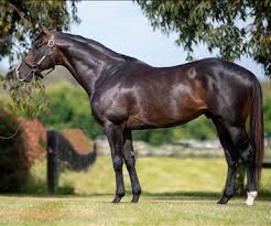 Image result for Bletchingly Badminton Club