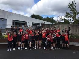 Image result for St Bronagh`s Gaa