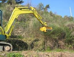 Image result for seppi tehron