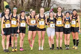 Image result for Annadale Striders Ac
