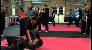 Image result for Shaolin Nam Pai Chuan Kung Fu - Manchester Martial Arts Centre