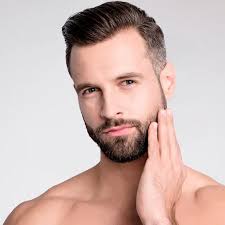 Image result for Steinbrech