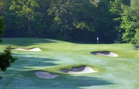 Image result for Royal Wimbledon Golf Club