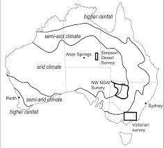Attēlu rezultāti vaicājumam “Badhamiopsis ainoae”