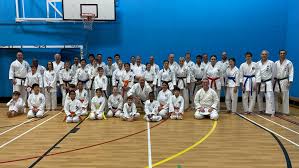 Image result for Kenshukai Karate