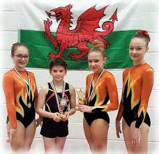 Image result for Kestrel Gymnastic Group