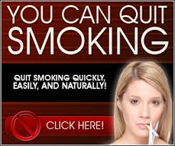 Quit Smoking Newsletters