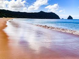 Image result for new chums beach