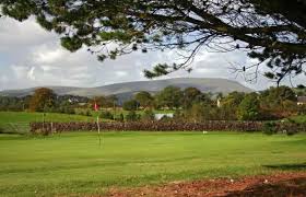 Image result for Colne Badminton Club