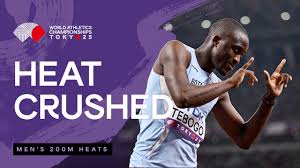 Image result for Tobogo