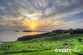 Image result for tanada