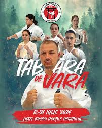 Image result for Sandokai Karate