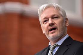Image result for julian assange