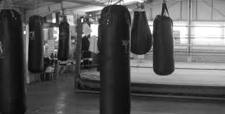 Image result for Epsom & Ewell Amateur Boxing Club