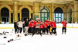 Image result for Basingstoke Buffalo