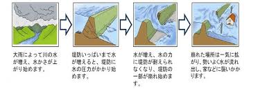 Image result for 高潮 津波 別物