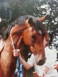 Image result for Old Park Riding Stables