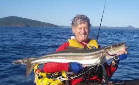 Image result for Rachycentron canadum