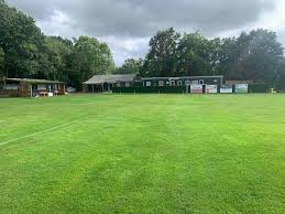 Image result for Caterham Pumas Fc