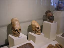 Image result for elongated skulls