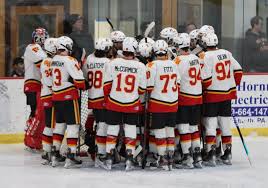 Image result for Havering Skater Hockey Club