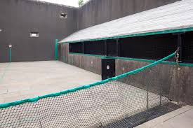 Image result for The Royal Tennis Court