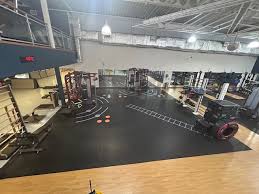 Image result for David Lloyd (Cheshire Oaks) Badminton Club