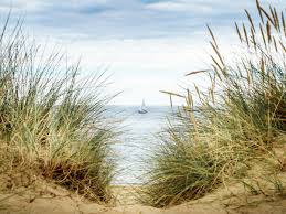 Image result for Slaughden Sailing Club