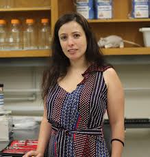 Image result for maralaser tehron