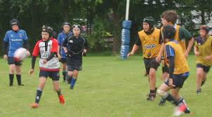 Image result for Wilmslow Rugby Union Football Club