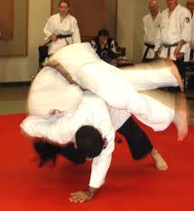 Image result for Budo Shin Ryu Kempo Jujitsu Academy