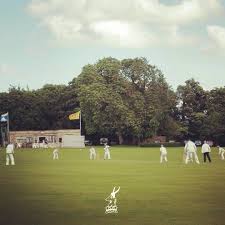 Image result for Over Stowey Cricket Club