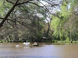 Image result for Wellington Petanque Club