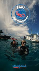 Image result for Seaquest Divers