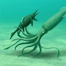 Attēlu rezultāti vaicājumam “Blattoptera”