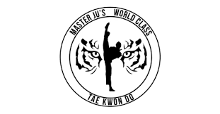 Image result for Synergy Tae Kwon Do