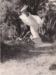 Image result for Inyo Karate Do Ninbukan