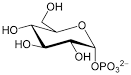 File:Glucose 1-phosphate.svg - Wikipedia, the free encyclopedia