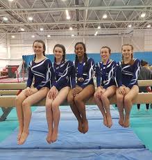 Image result for Torbay Olympic Gymnastics Club