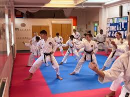 Image result for Ifield Shotokan Karate Club