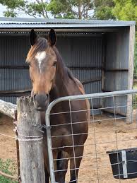 Image result for Bletchingly Badminton Club