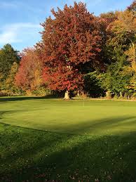 Image result for Whitehall Golf Club