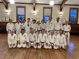 Image result for Sandokai Karate
