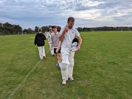 Image result for Southwick Wanderers