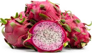 Attēlu rezultāti vaicājumam “Dracocephalum ruyschiana fruit”